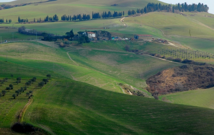 Volterra